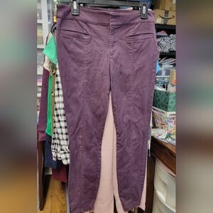 Loft Outlet Deep Purple Skinny Ankle Petite Pants 6P